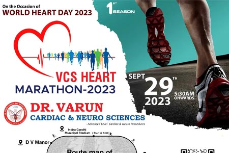 VCS Heart Marathon 2023 - First Season!